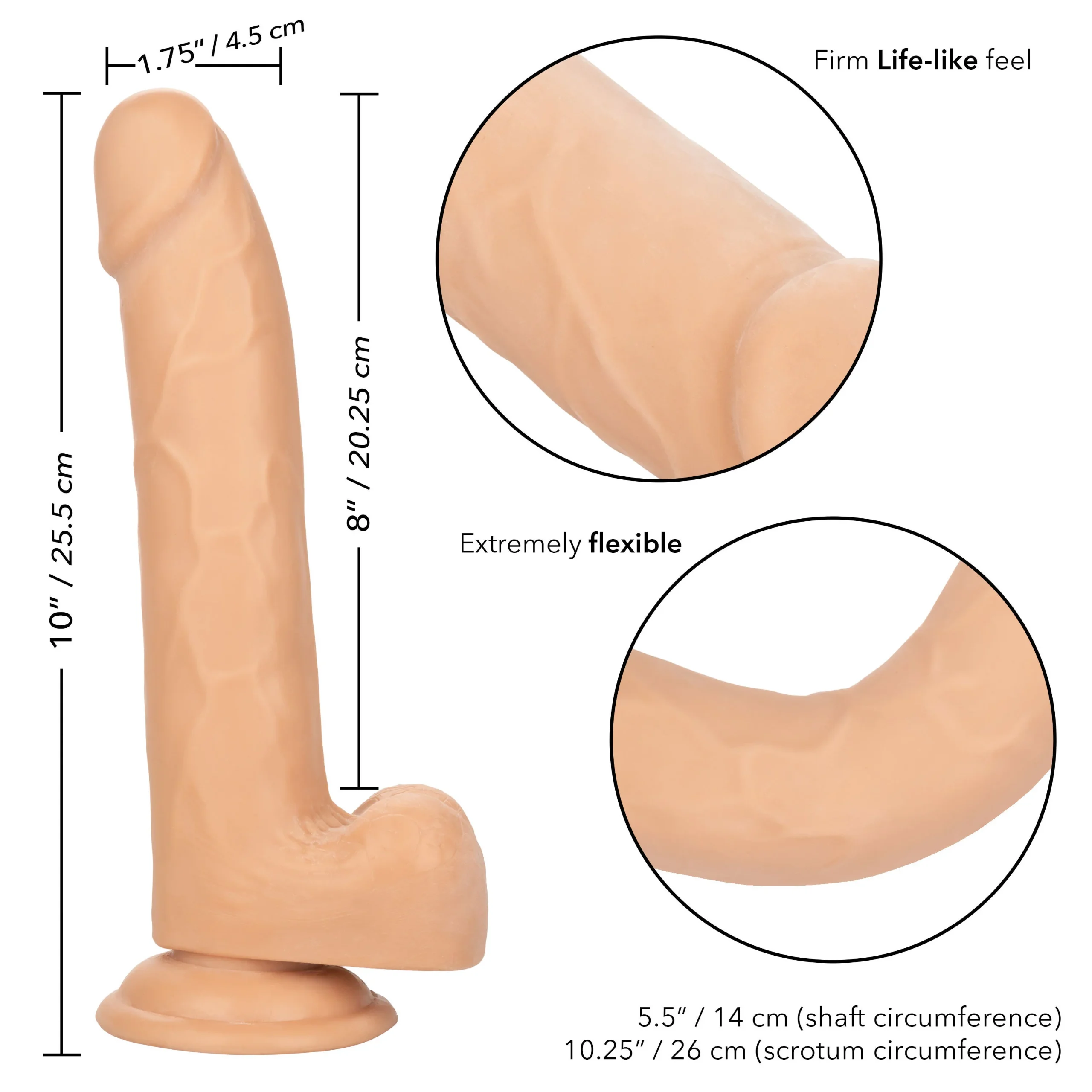 Cal Exotics Size Queen - Ivory 8 inch - Image 5