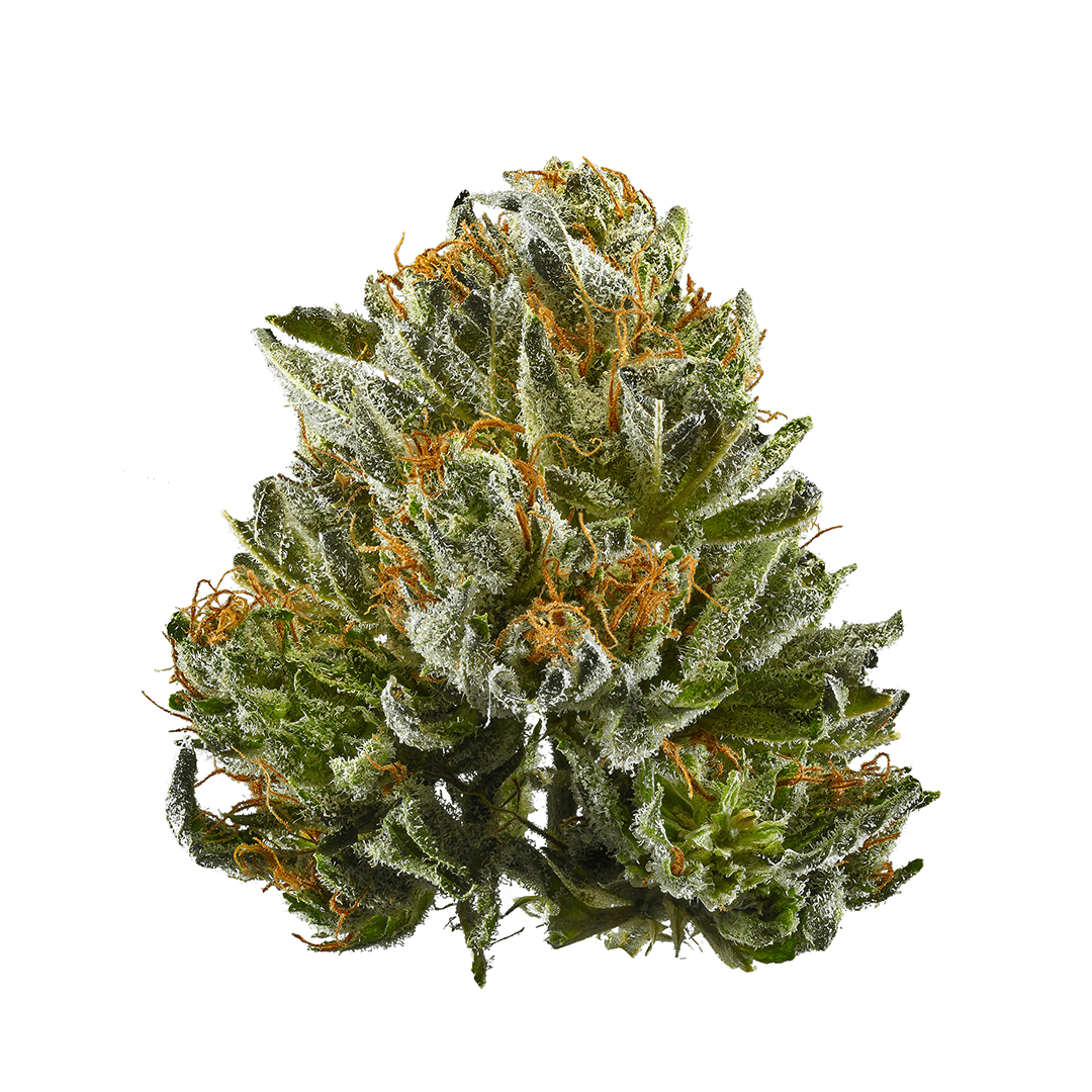 SPACE WALKER 1gr THC-P Flower - Bubba Kush - Indica